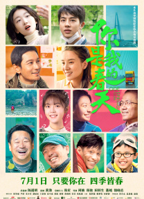完结高清影视